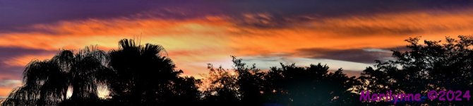 DSC_3820_stitch9_001.JPG