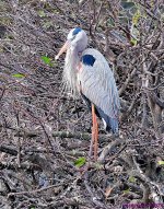 DSC_3856_001.JPG