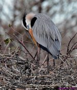 DSC_3924_001.JPG