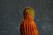 KFW_6905curvesT.png