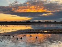 BosqueSunrise-249.jpg