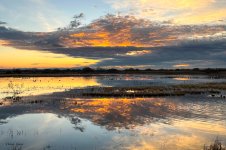 BosqueSunrise-250.jpg