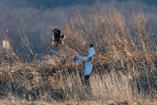 RD5_9230-Edit.jpg