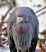 DSC_3958_001.JPG