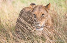 exposuretours_day6_3294.JPG