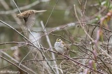 RD5_7927-Edit.jpg
