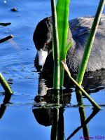 DSC_4670_001.JPG