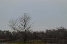2024-01-18_12-45-49(2)s.jpg