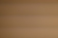 KFW_7809.JPG