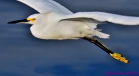 DSC_5000_001.JPG