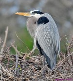DSC_5124_001.JPG