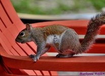 DSC_1814_001.JPG