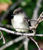 DSC_5236_001.JPG