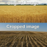 1706232264150.png