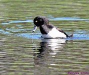 DSC_5378_001.JPG