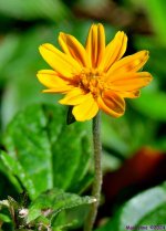 DSC_5466_001.JPG