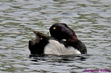 DSC_5511_001.JPG