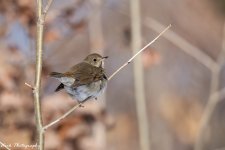 RD5_8284-Edit.jpg