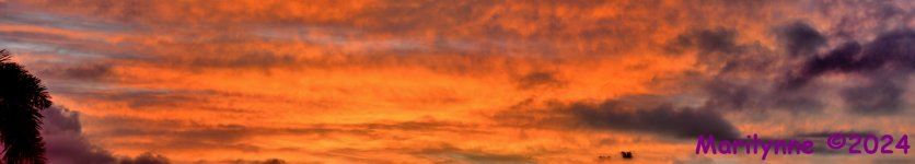 DSC_5764_stitch9_001.JPG