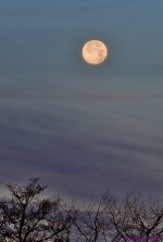 DSC_5966_001.JPG