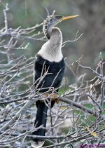 DSC_6115_stitch3_001.JPG