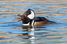 HoodyBreakfast-265.jpg