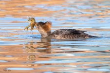 HoodyBreakfast-266.jpg