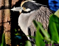 DSC_6163_001.JPG