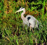 DSC_6191_001.JPG