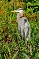 DSC_6194_001.JPG