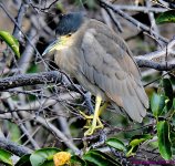 DSC_6281_001.JPG
