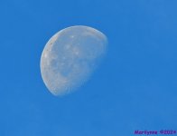 DSC_6502_001.JPG