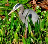 DSC_6514_001.JPG