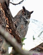 DSC_6822_001.JPG