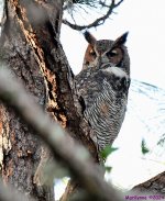 DSC_6832_001.JPG
