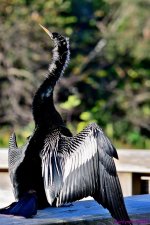 DSC_6857_001.JPG