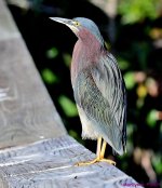 DSC_6876_001.JPG