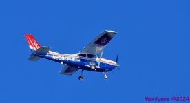 DSC_7316_001.JPG