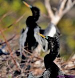 DSC_7261_001.JPG
