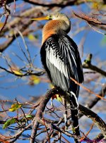 DSC_7484_stitch4_001.JPG