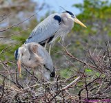 DSC_7547_001.JPG