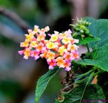 DSC_7560_001.JPG