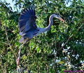 DSC_7614_001.JPG