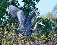 DSC_7620_001.JPG