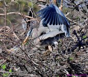 DSC_7728_001.JPG