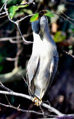 DSC_7765_001.JPG