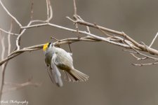 RD5_8864-Edit.jpg