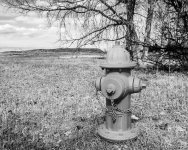 Hydrant-271.jpg