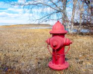 Hydrant-278.jpg