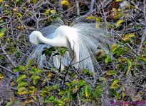 DSC_7905_001.JPG